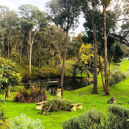 Countryside Retreat Romantic Tranquil Native Wildlife Township Hepburn - Daylesford Hepburn Springs Exteriör bild