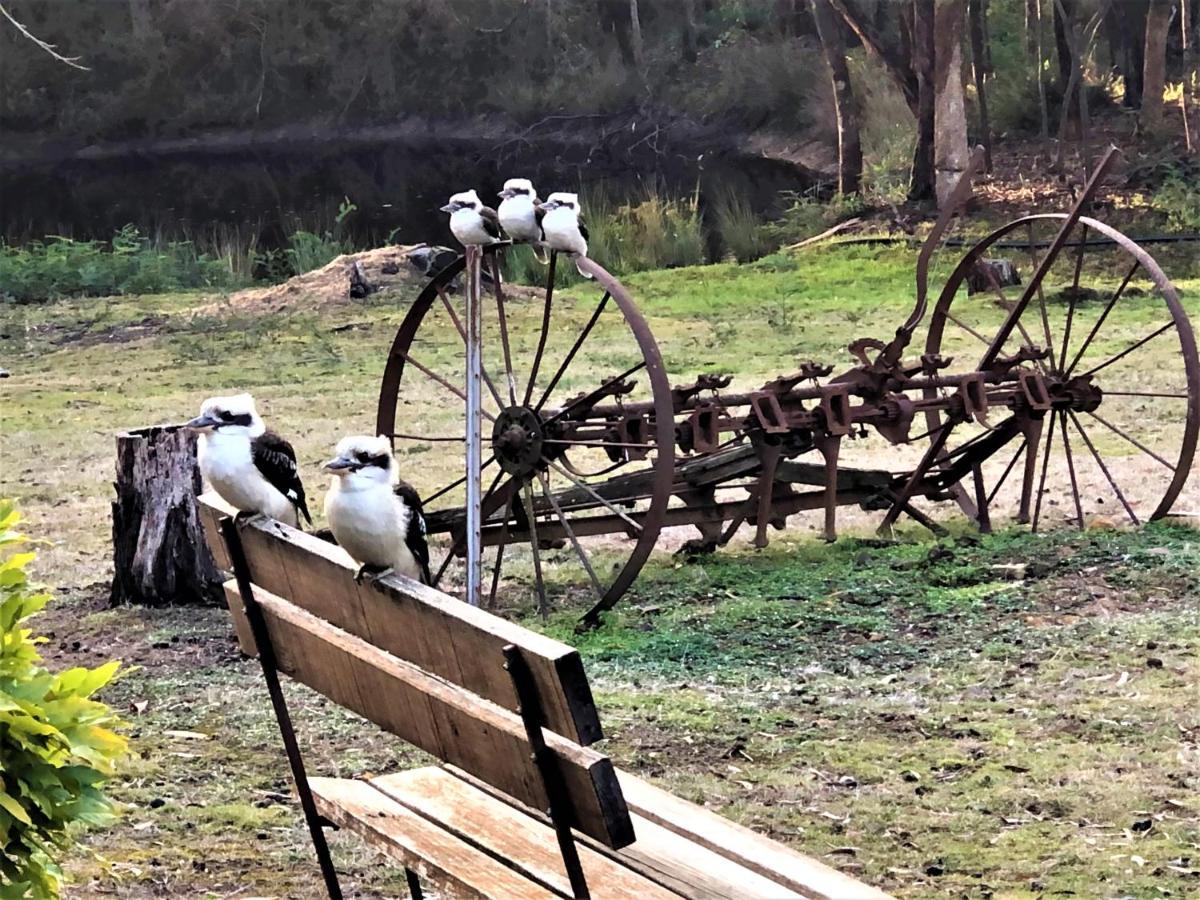 Countryside Retreat Romantic Tranquil Native Wildlife Township Hepburn - Daylesford Hepburn Springs Exteriör bild