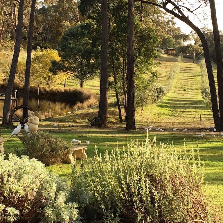 Countryside Retreat Romantic Tranquil Native Wildlife Township Hepburn - Daylesford Hepburn Springs Exteriör bild