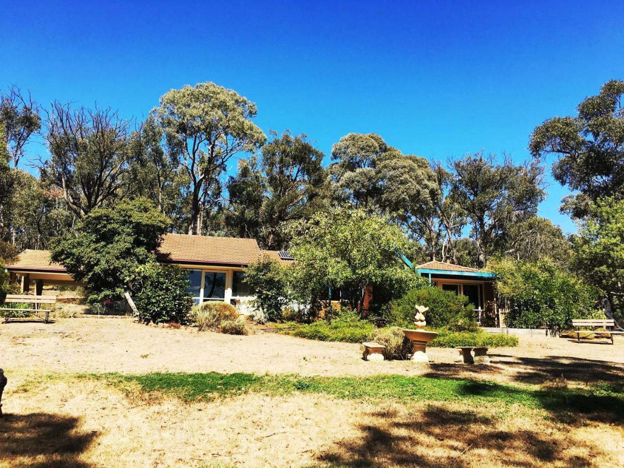 Countryside Retreat Romantic Tranquil Native Wildlife Township Hepburn - Daylesford Hepburn Springs Exteriör bild