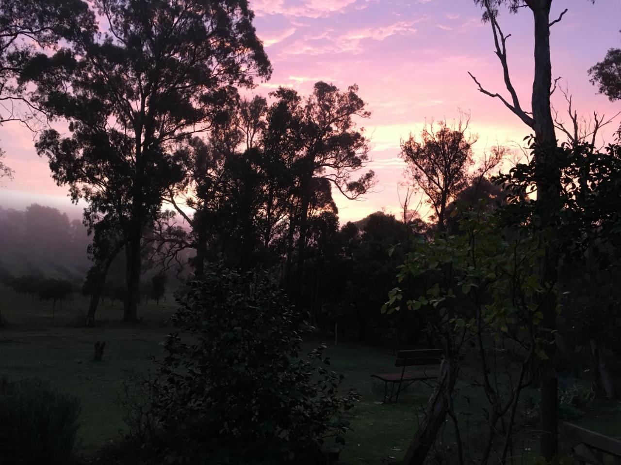 Countryside Retreat Romantic Tranquil Native Wildlife Township Hepburn - Daylesford Hepburn Springs Exteriör bild