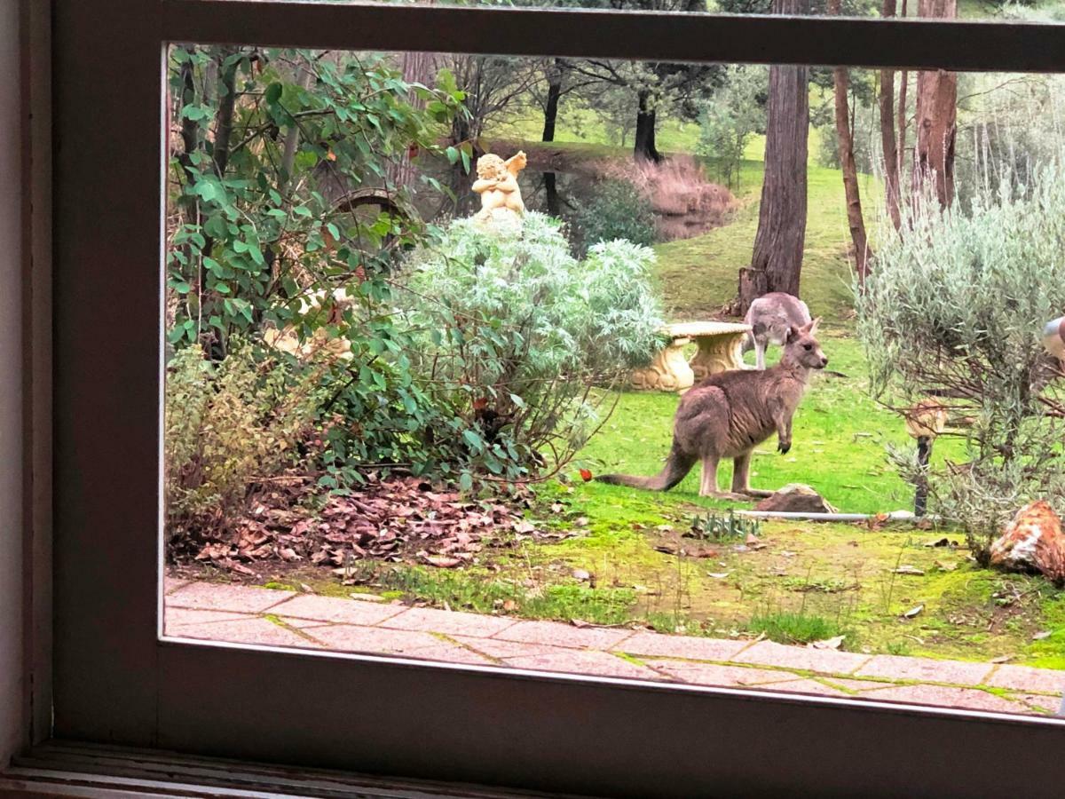 Countryside Retreat Romantic Tranquil Native Wildlife Township Hepburn - Daylesford Hepburn Springs Exteriör bild