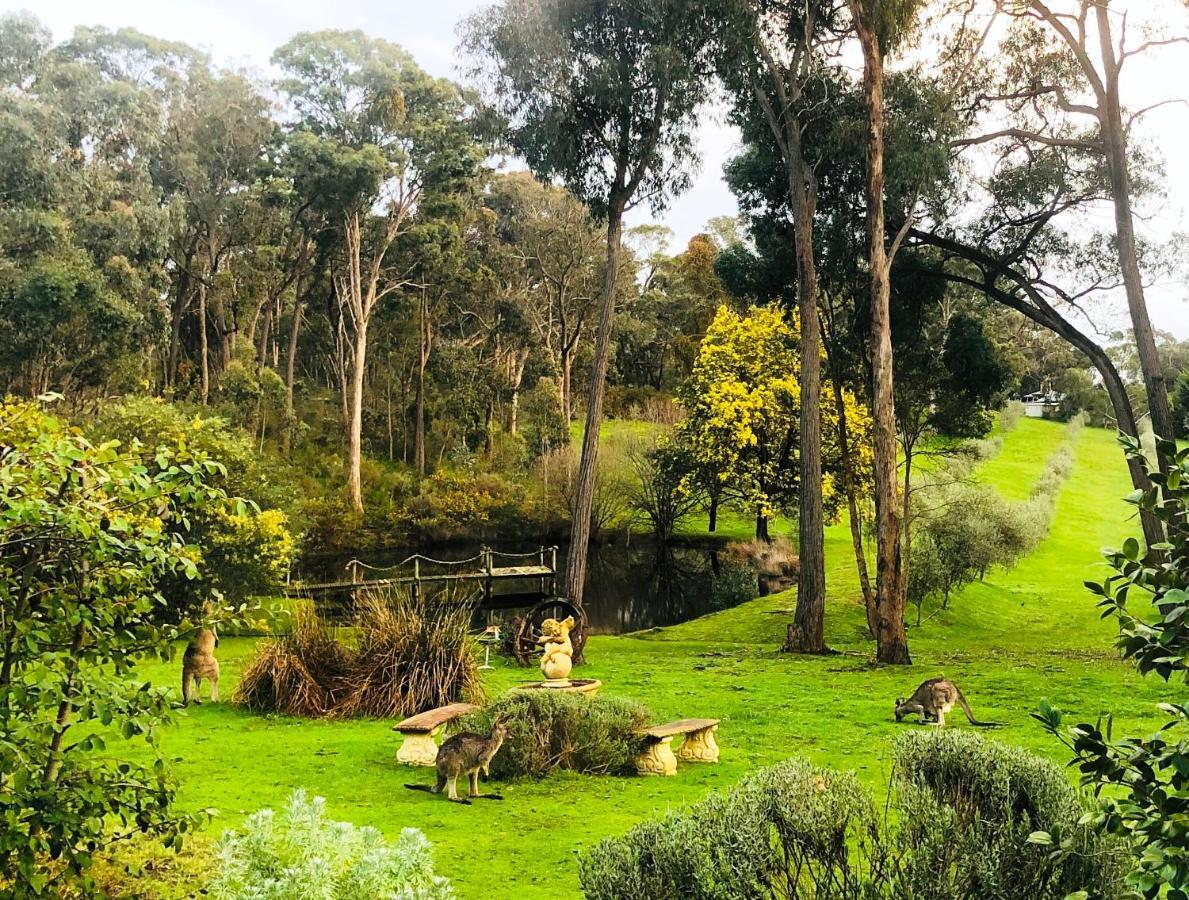 Countryside Retreat Romantic Tranquil Native Wildlife Township Hepburn - Daylesford Hepburn Springs Exteriör bild